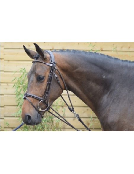 Gogue WEEK élastique corde/cuir Jumpin