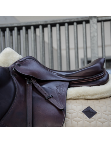 Amortisseur Impact Equalizer cheval mouton Kentucky