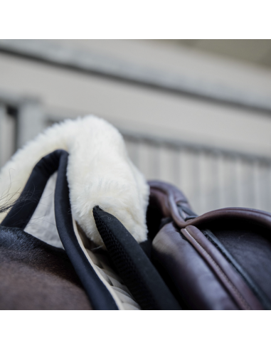 Amortisseur Impact Equalizer cheval mouton Kentucky