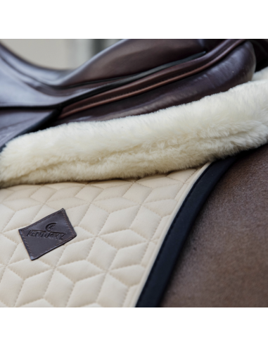 Amortisseur Impact Equalizer cheval mouton Kentucky