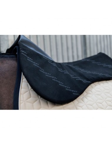 Amortisseur Impacte Equalizer Kentucky