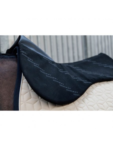 Amortisseur Impacte Equalizer Kentucky