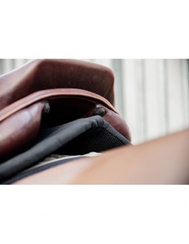 Amortisseur Impacte Equalizer Kentucky