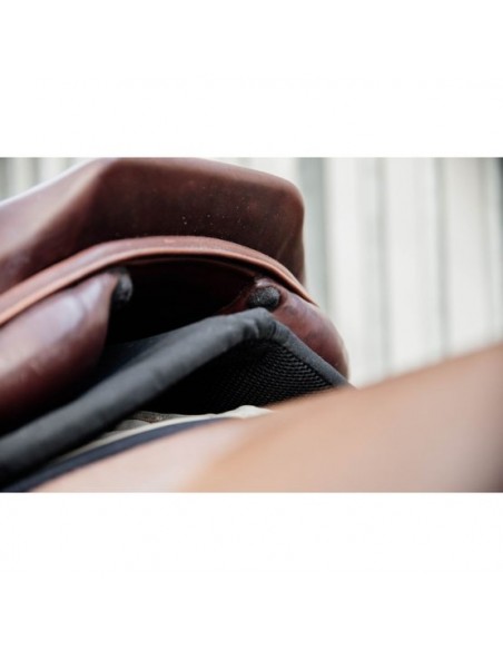 Amortisseur Impacte Equalizer Kentucky