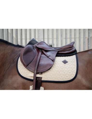 Amortisseur Impacte Equalizer Kentucky