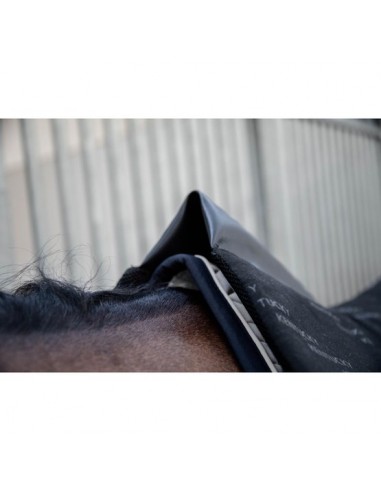 Amortisseur Impacte Equalizer Kentucky