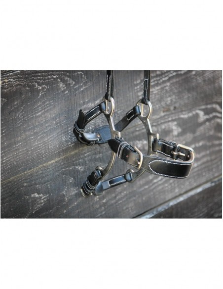 Muserolle Hackamore WEEK Jump'in