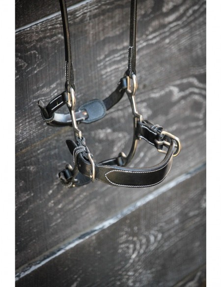 Muserolle Hackamore WEEK Jump'in