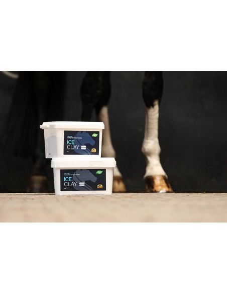 Argile naturelle rafraîchissante ICE CLAY Cavalor