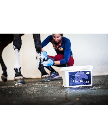 Argile naturelle rafraîchissante ICE CLAY Cavalor