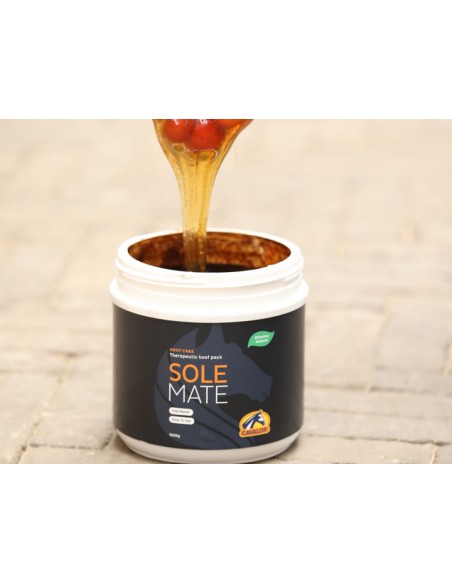 Crème anti-inflammatoire et analgésique SOLEMATE Cavalor