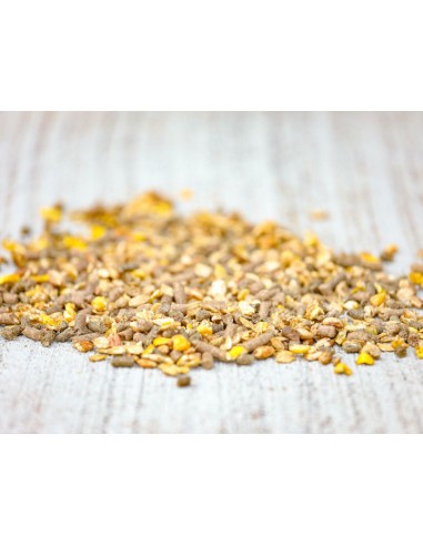 Floconné PIANISSIMO Cavalor