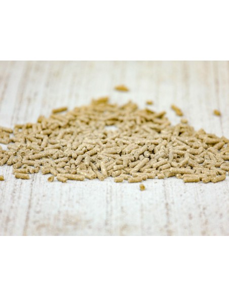 Floconnés Elevage PROBREED Cavalo