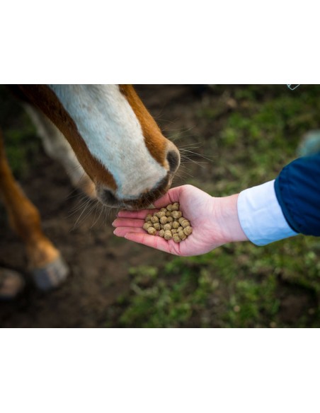 Floconnés Elevage START & GO Cavalor