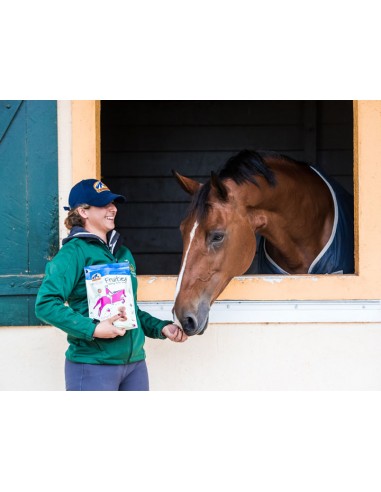 Friandises pour chevaux FRUITIES Cavalor