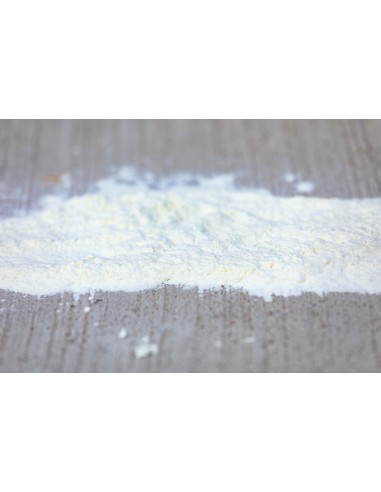 Lait Poulain HYPPOLAC Cavalor