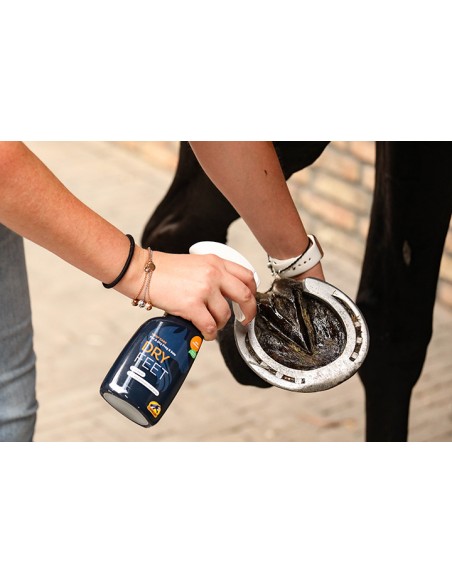 Soin Fourchette DRY FEET Cavalor