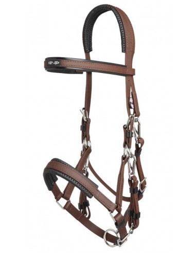 Bridon Licol Marathon Zilco - marron