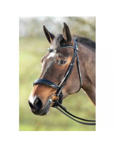Bride de dressage WEYMOUTH HFI