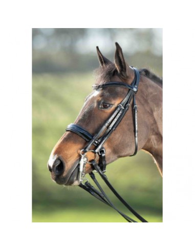Bride de dressage WEYMOUTH HFI