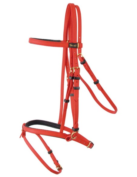 Bridon d'endurance BIOTACK T de T