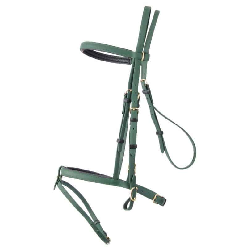 Bridon d'endurance BIOTACK T de T