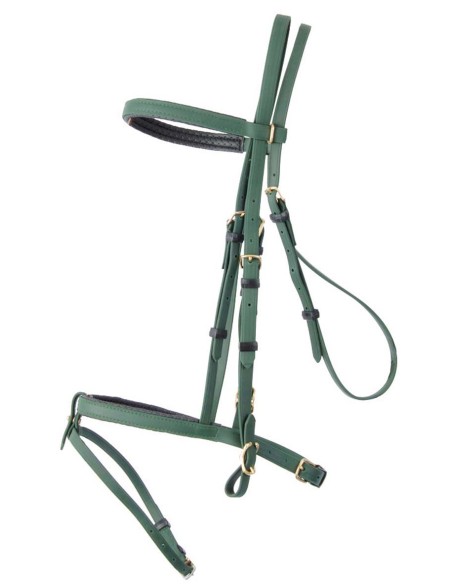 Bridon d'endurance BIOTACK T de T