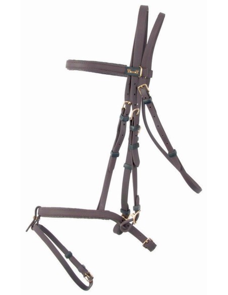 Bridon d'endurance BIOTACK T de T