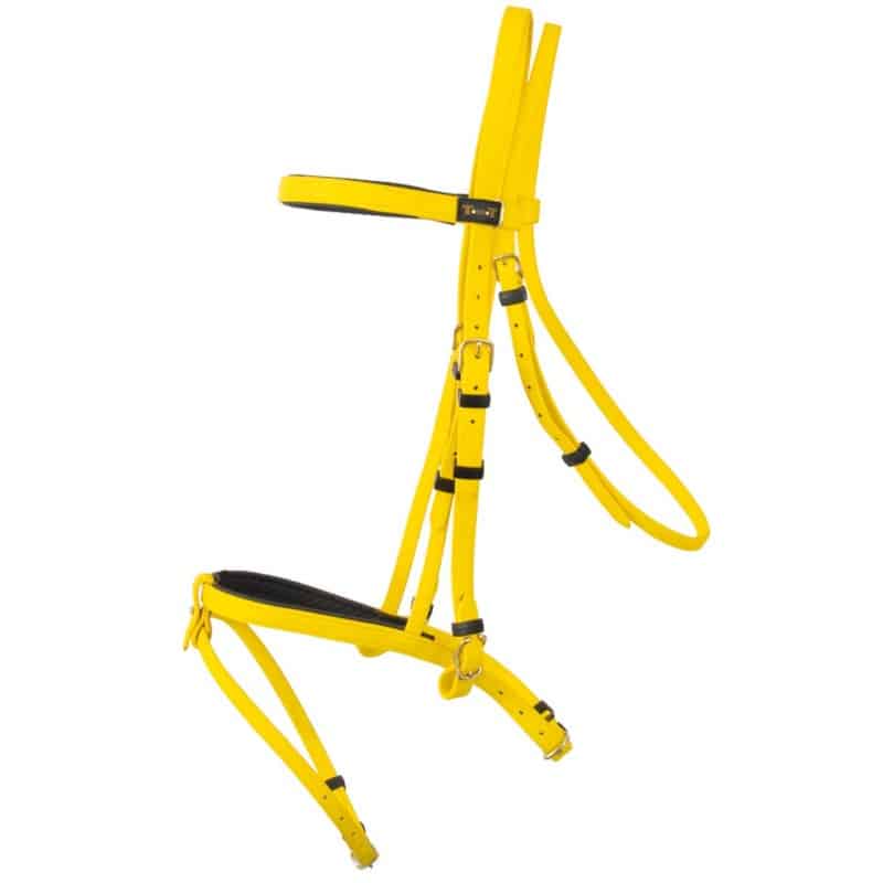 Bridon d'endurance BIOTACK T de T