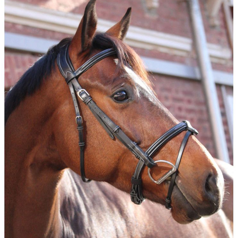 Bridon Paris Jump'in