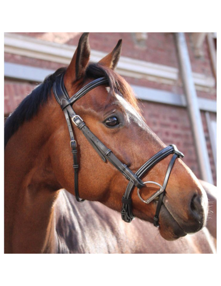 Bridon Paris Jump'in