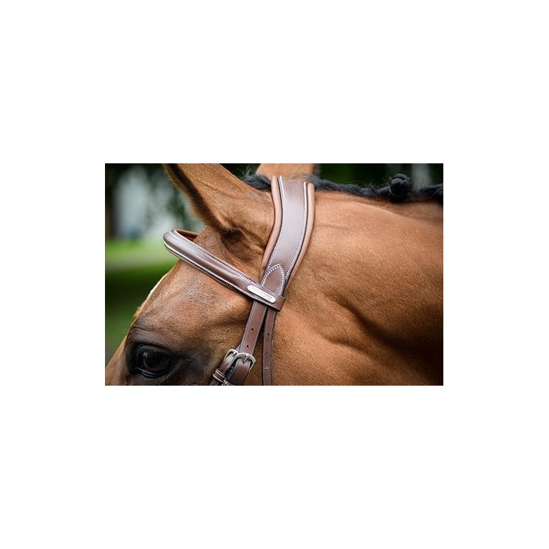 Bridon LONDON ONE Jump 'in