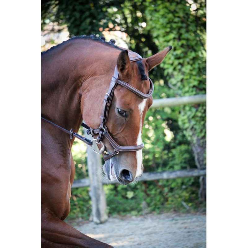 Bridon NEW YORK ONE Jump 'In