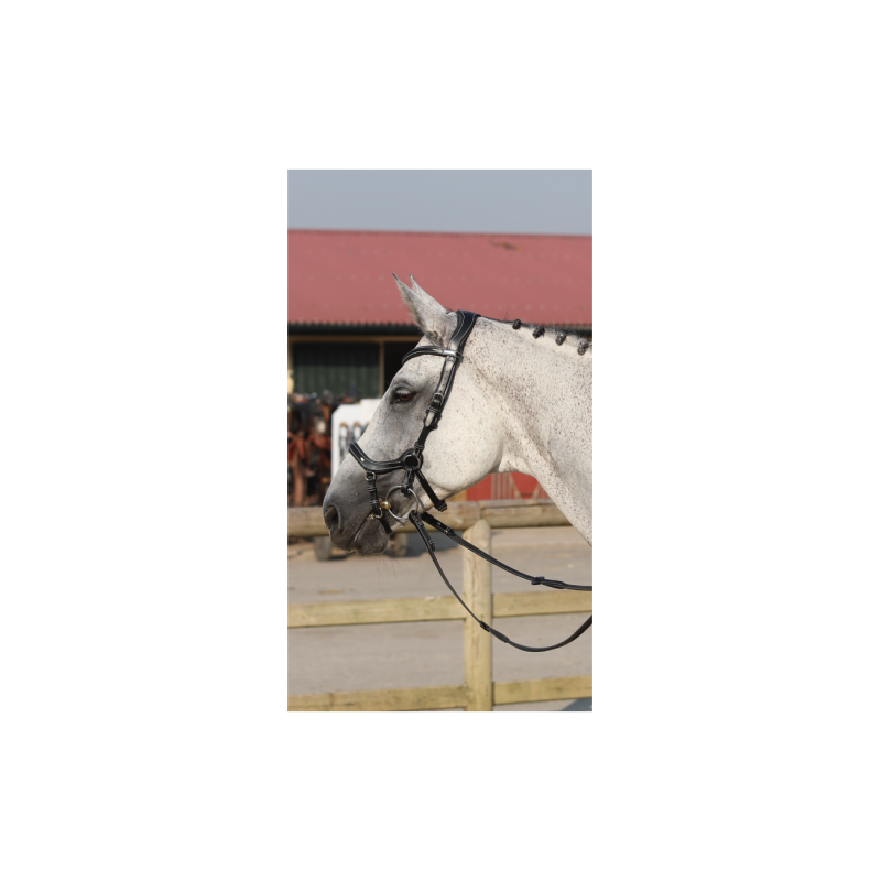 Bridon NEW YORK ONE Jump 'In