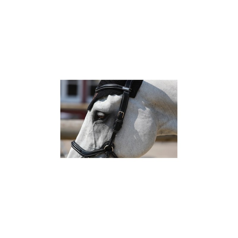 Bridon NEW YORK ONE Jump 'In