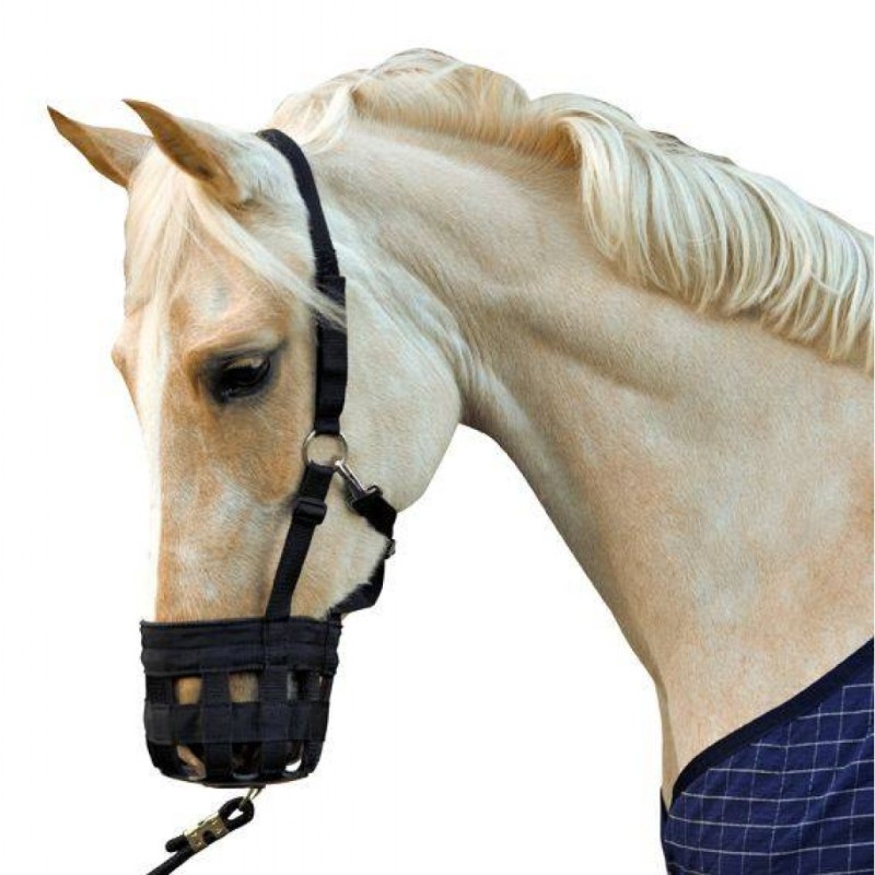 Muselière/Panier anti-colique HKM