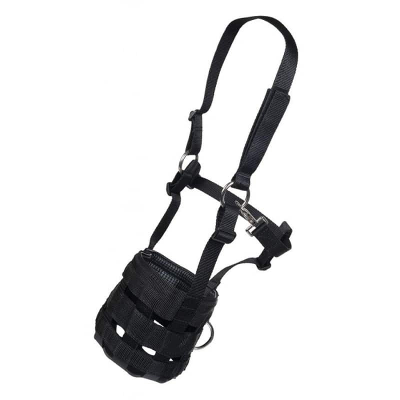 Muselière/Panier anti-colique HKM