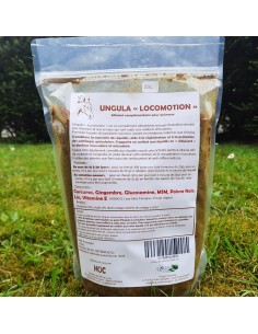 Complément UNGULA LOCOMOTION