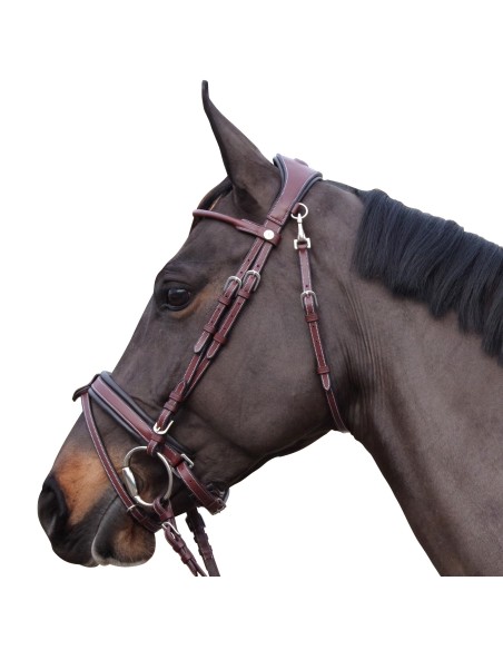 Bridon MADRID Flags&Cup