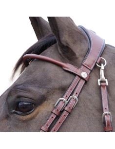 Bridon MADRID Flags&Cup 2