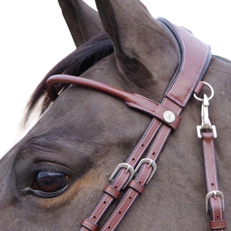 Bridon MADRID Flags&Cup