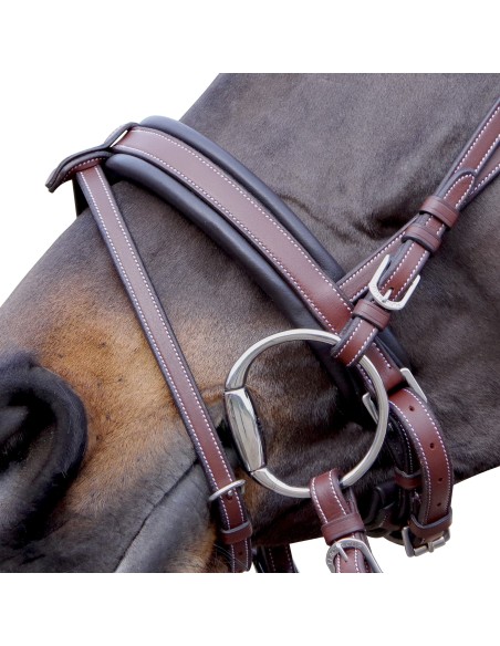 Bridon MADRID Flags&Cup