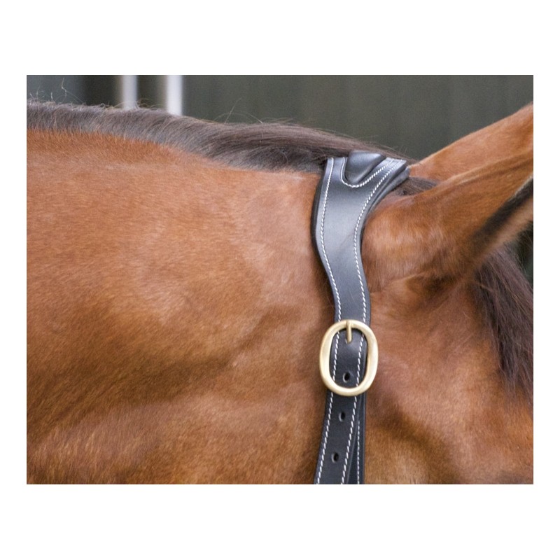 Licol Cuir Têtière Anatomique T de T