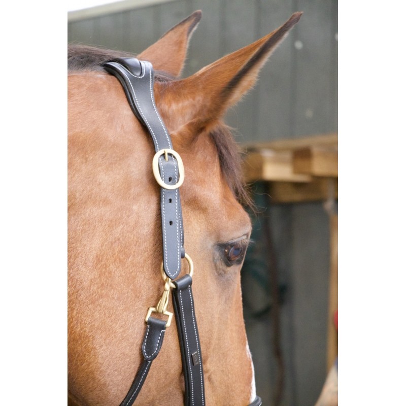 Licol Cuir Têtière Anatomique T de T