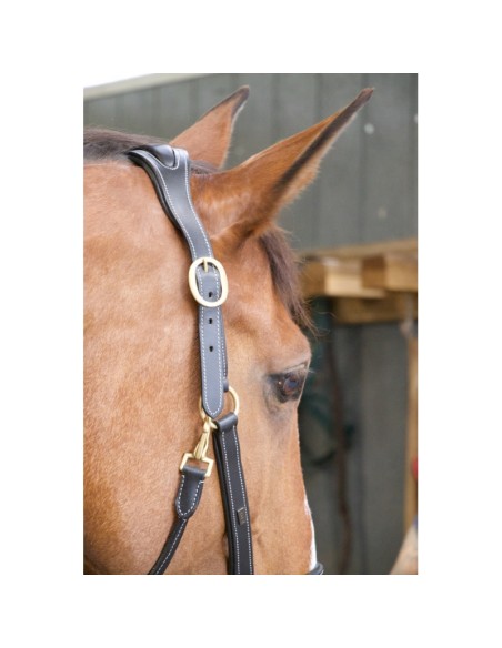Licol Cuir Têtière Anatomique T de T