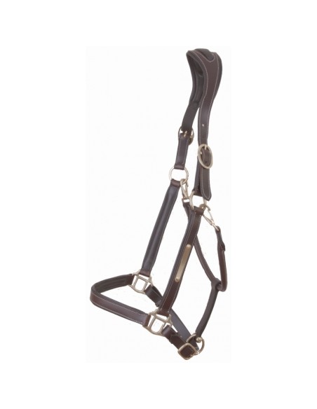 Licol Cuir Têtière Anatomique T de T