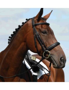 Bridon Weatherbeeta 2