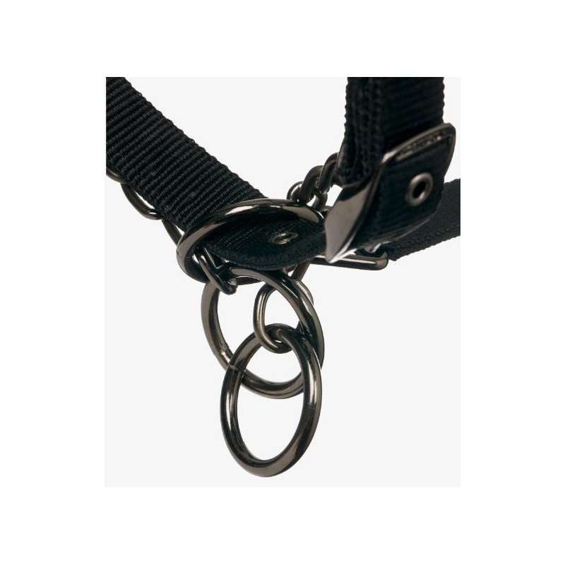 Licol PROSAFE Le Mieux