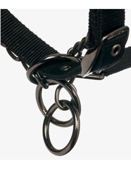 Licol PROSAFE Le Mieux