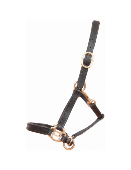 Licol en cuir POULAIN T de T - noir